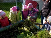 Sklízíme úrodu na školní zahrádce